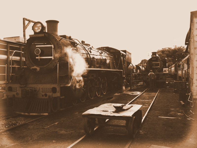 Taken October 2006 at Capitol Park by K Wilson-Smith Canon EOS 300d, 18-55mm lens