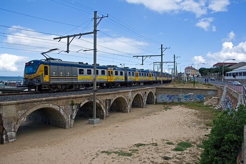 The other class of Metrorail train is just passing.