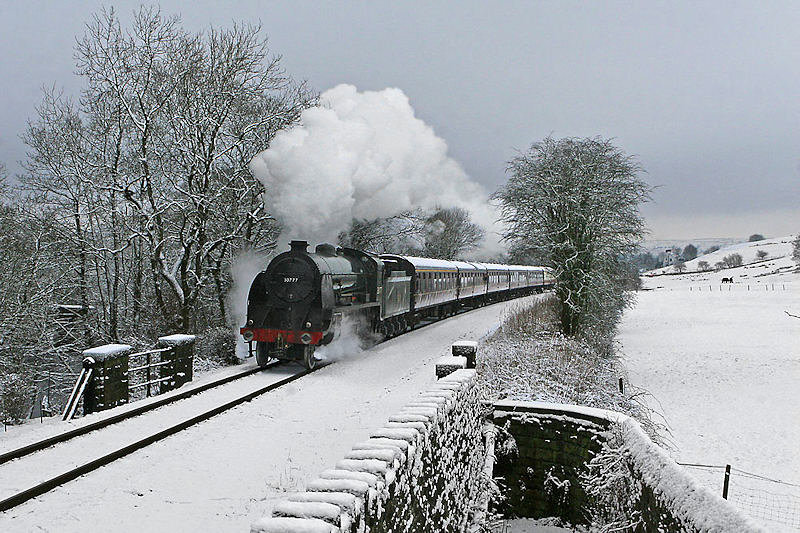 D Rodgers 21 Feb 2010