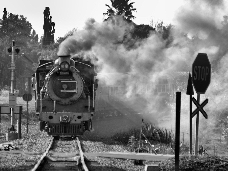 L Geldenhuys August 2007