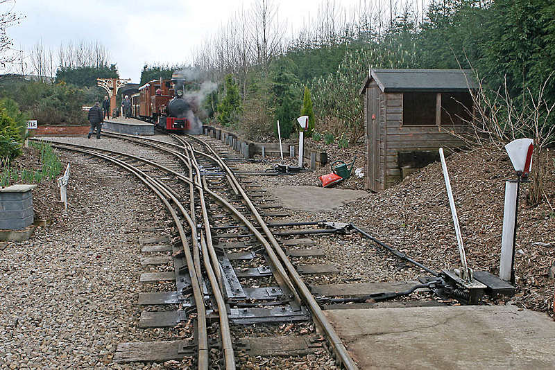 Complex dual 2ft and 2ft 6in gauge track and switches. D Rodgers 24 March 2010.