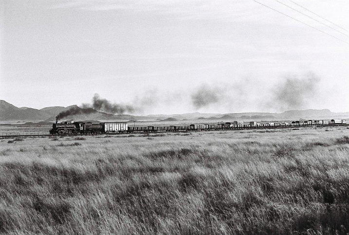 In full flight. The class 24 in her stride as 3700 races along the fairly level stretches before reaching the fire cleaning point and base of the Loots Berg pass, at Jagpoort halt.