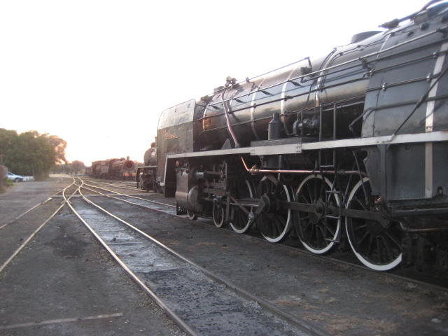 A busy day at Capital Park depot. 2650 pokes her nose out beyond 3117, while 3366 stands on the pit in the distance