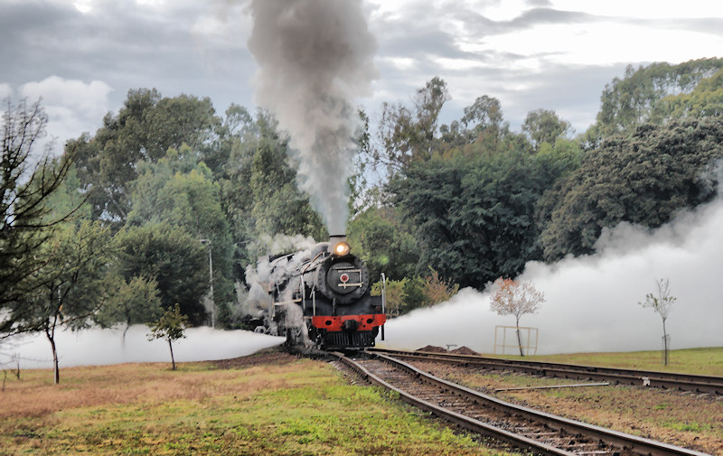 K R Wilson-Smith May 2010