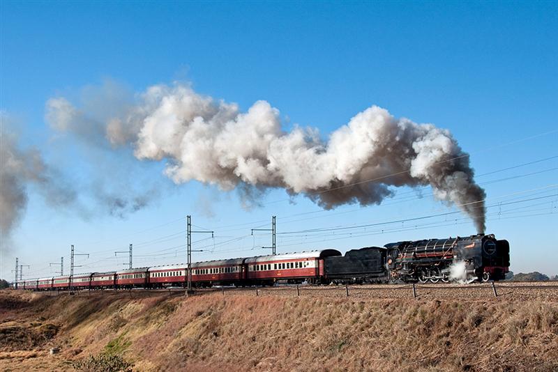 Photo of the Month goes to this photo of the first outing of Reef Steamers 15F