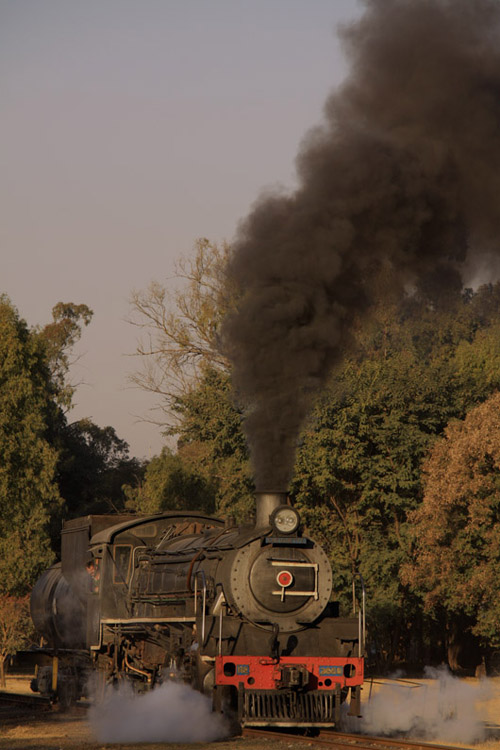 july2010 092az.jpg