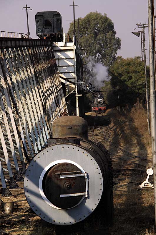 GF boiler, Rovos tender on coalstage-it is being emptied- and our 19D
