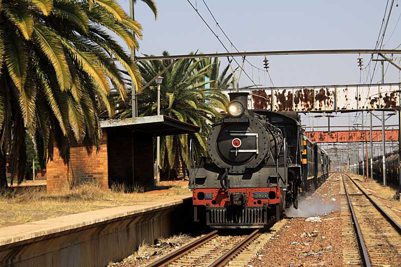 september2010 082z.jpg