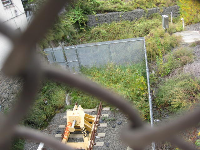 Photo by John Ashworth, New York, 28 o0ct 2010