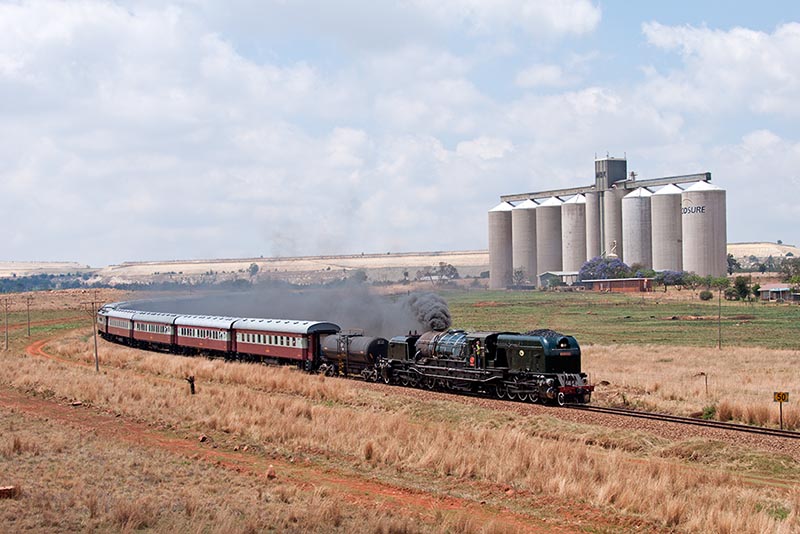 _DSC8611_fotr.jpg