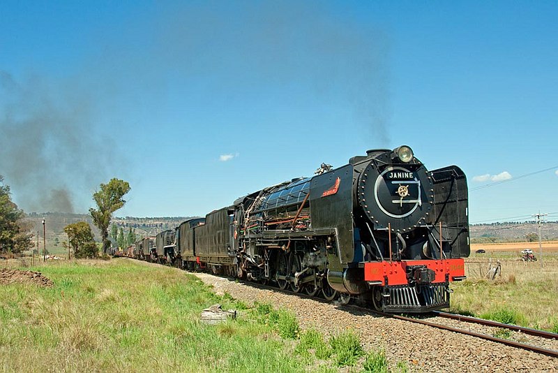 _DSC9135.jpg