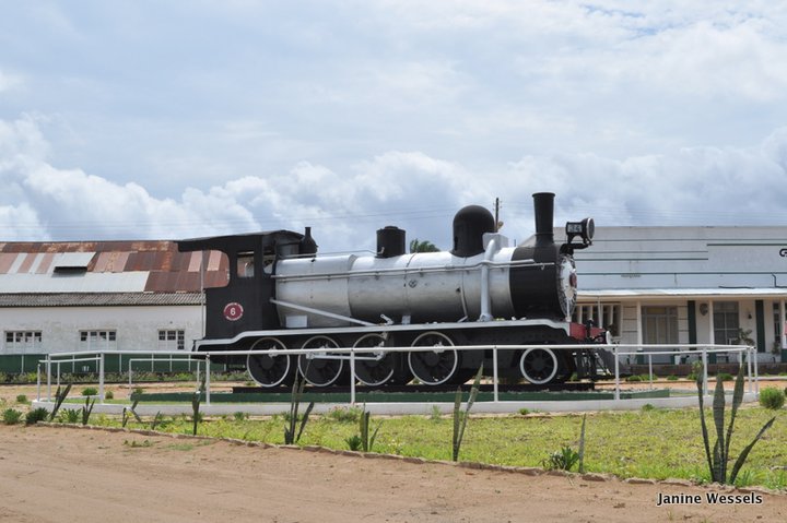 moztrain.jpg