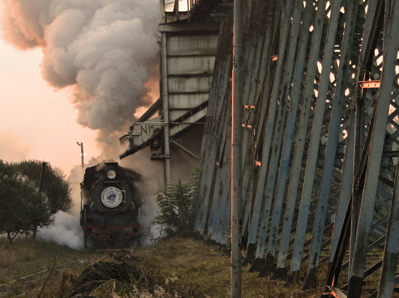 Taken April 2006 at Capitol Park by K Wilson-Smith Canon EOS 300d, 90-300mm lens
