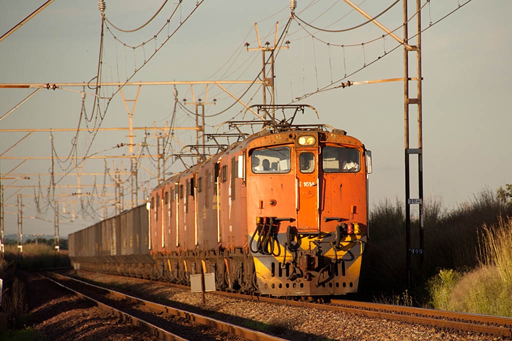 20110306_DSC1666.jpg