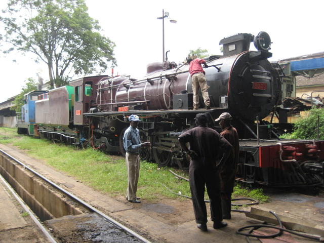 steam_safari_3020_IMG_4447.JPG