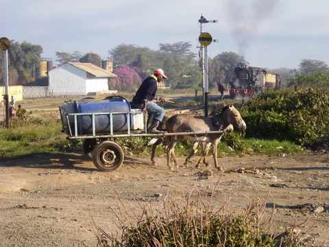 No African tour is complete without animals in the foreground. This one was quite natural, not posed and paid for with a hat whiparound.