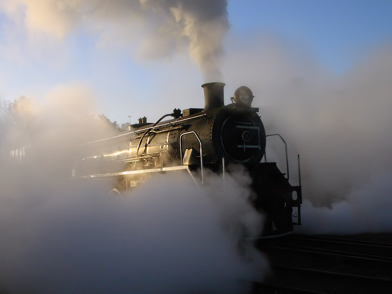 Taken May 2006 at Capitol Park by K Wilson-Smith Canon EOS 300d, 18-55mm lens