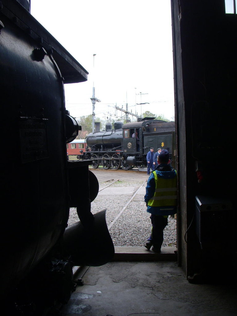 here comes a picture on Bruce Jr (Ludwig) looking out from the shed door