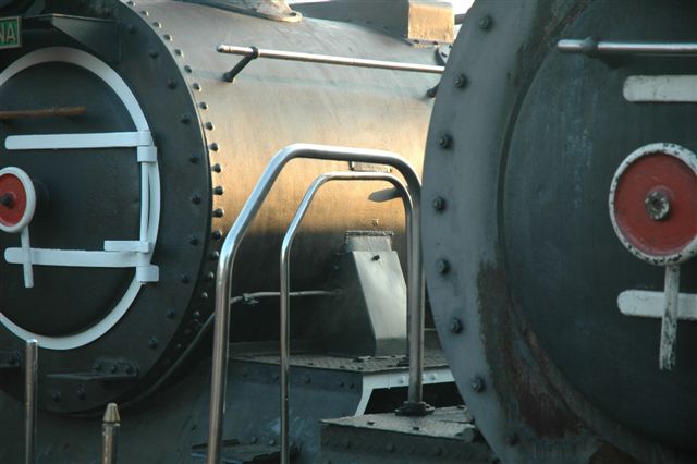Doors and handles. FOTR stalwart locomotives classes 24 and 19D at rest in the predawn at Capital Park.