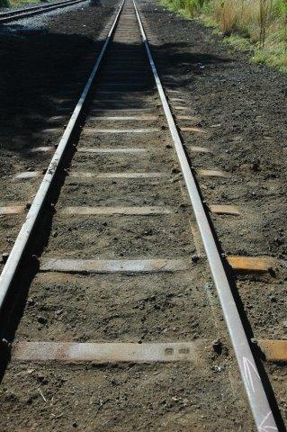One Sunday morning at Hermanstad.April 2013 048.jpg