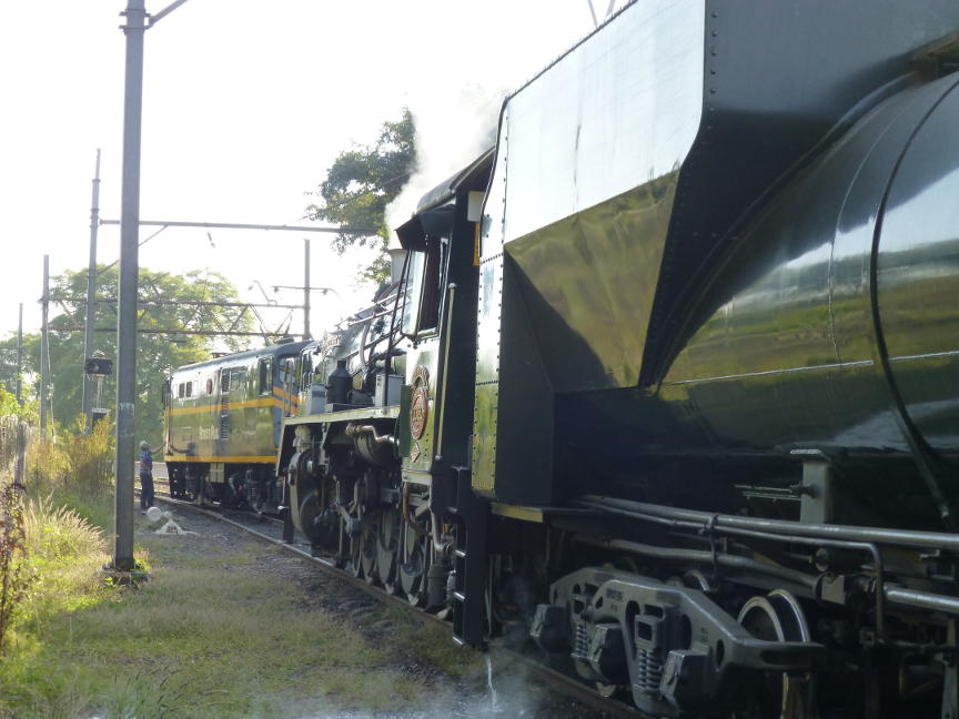 rovos_P1000553.JPG