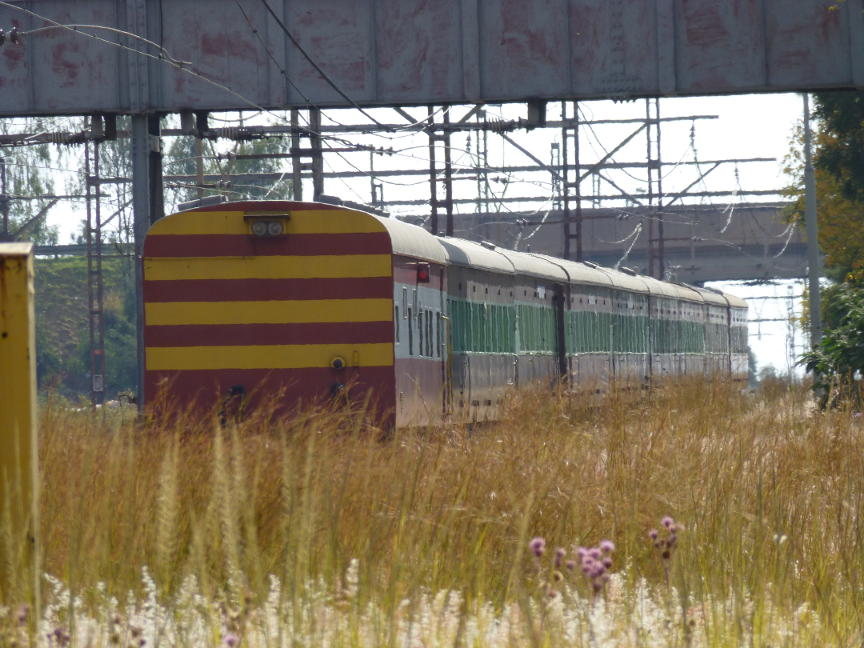 The train stands by the overgrown platform at Rayton. The caboose is nearest to the camera.