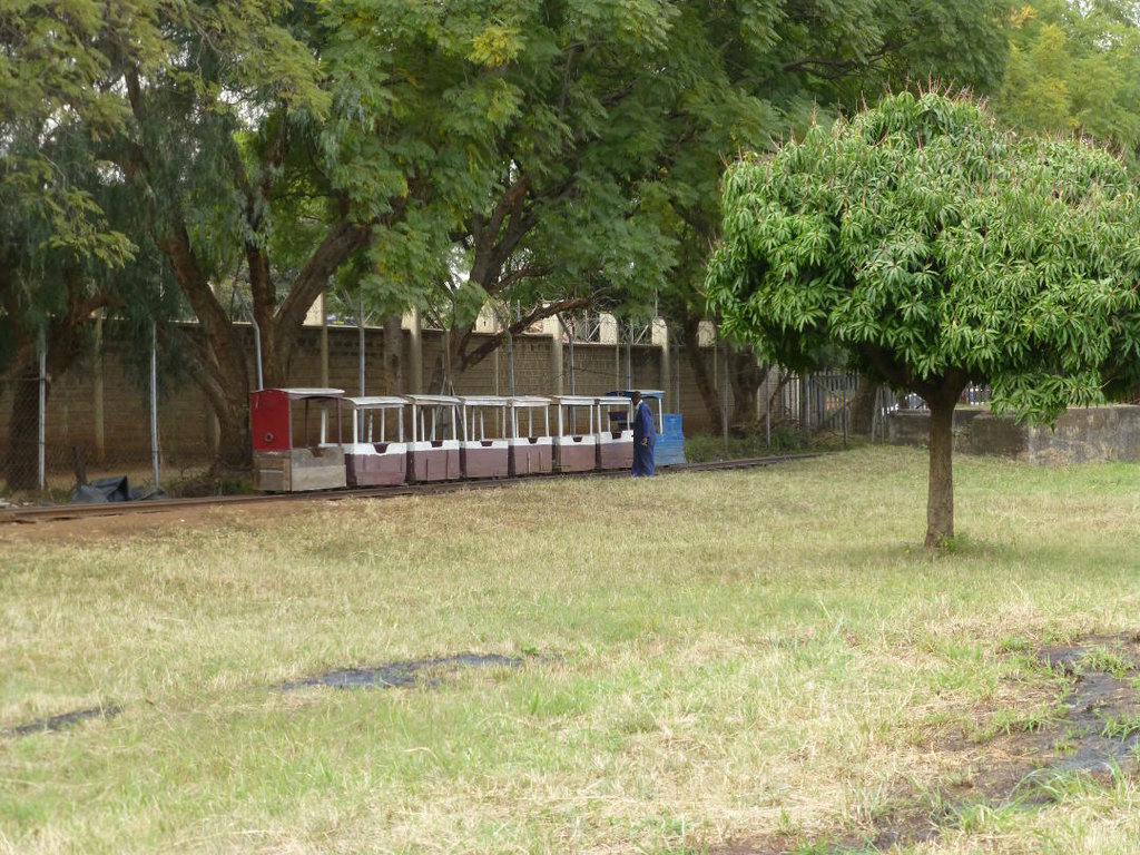 The miniature train is still going strong for school parties