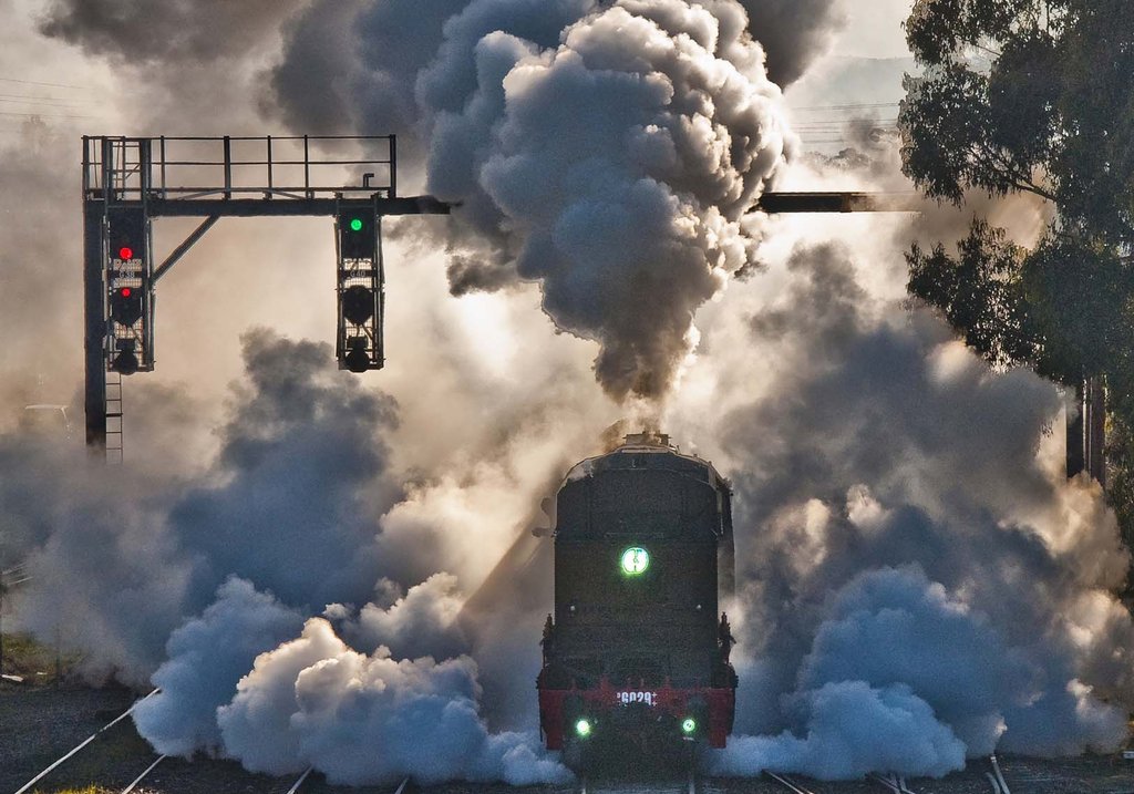 6029 082 13-14 August 2014.jpg