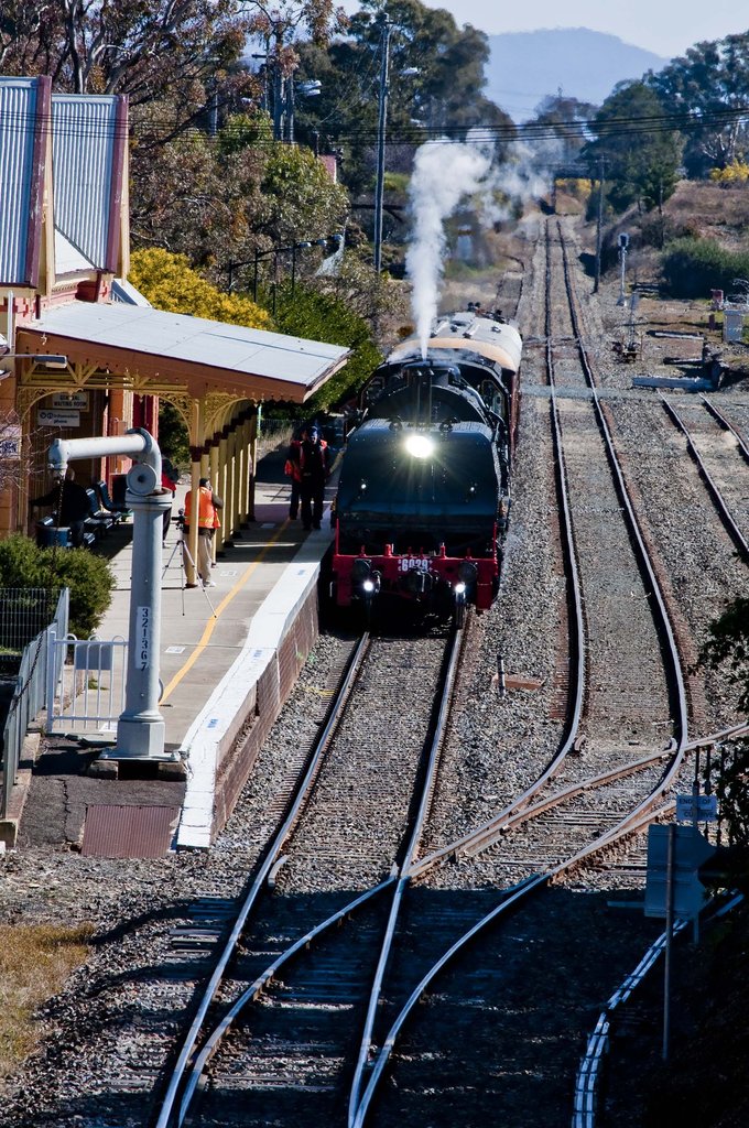 6029 015 13-14 August 2014.jpg