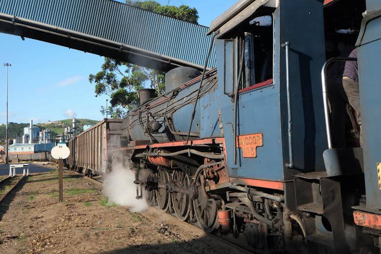 SAR 19D 2767 (RSH) Sappi No. 3 436749_n.jpg