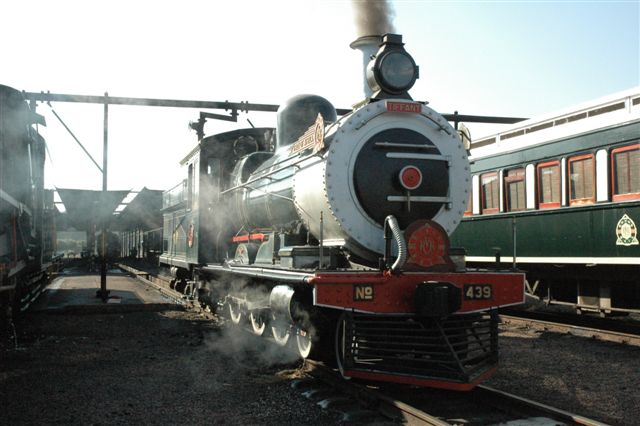 In steam again. 439 the Rovos class 6 is in steam for a safari operation. Passengers were taken around the site in a wagon and this locomotive.