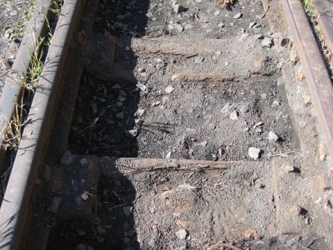 Rotten sleepers 1