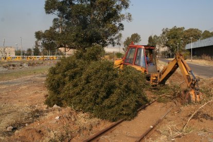A Metro set passes in the background as work continues<br /><br />Photo by Chris Janisch 19/08/06