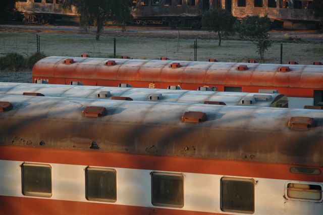 June frost covers the roofs of some of the FOTR coaching stock