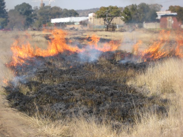 Burning the long grass off the car park