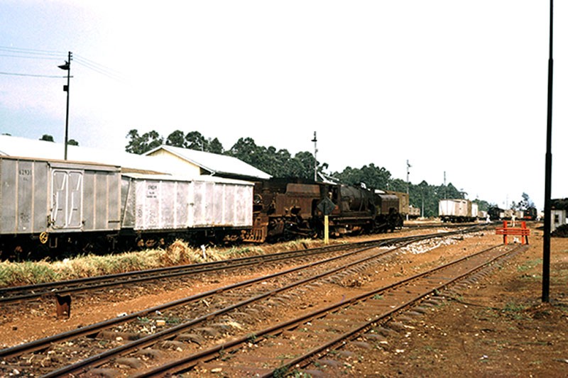 Jinja. EAR&H Class 58. 5808 with a Kenya freight.jpg