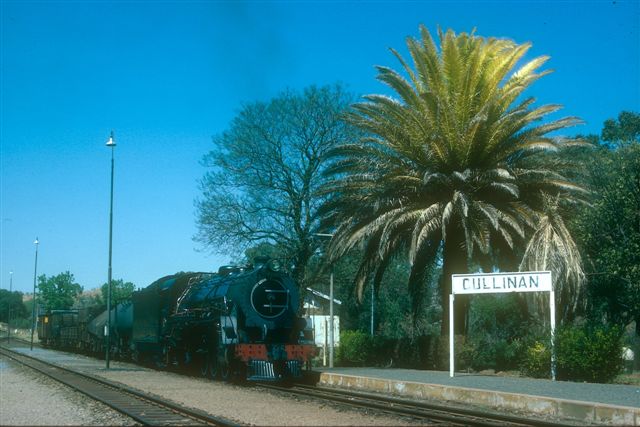 Photo by Nathan Berelowitz