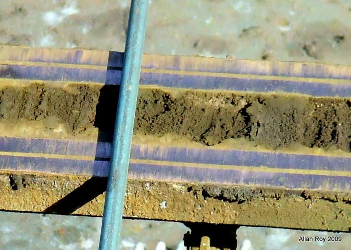 2009_0211_170834.JPG