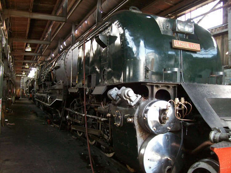 reefsteam079.jpg