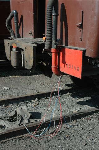 Photo by Nathan Berelowitz Feb 2009