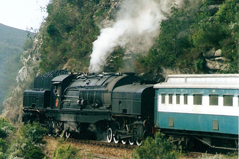 Zoomed up at the Princess