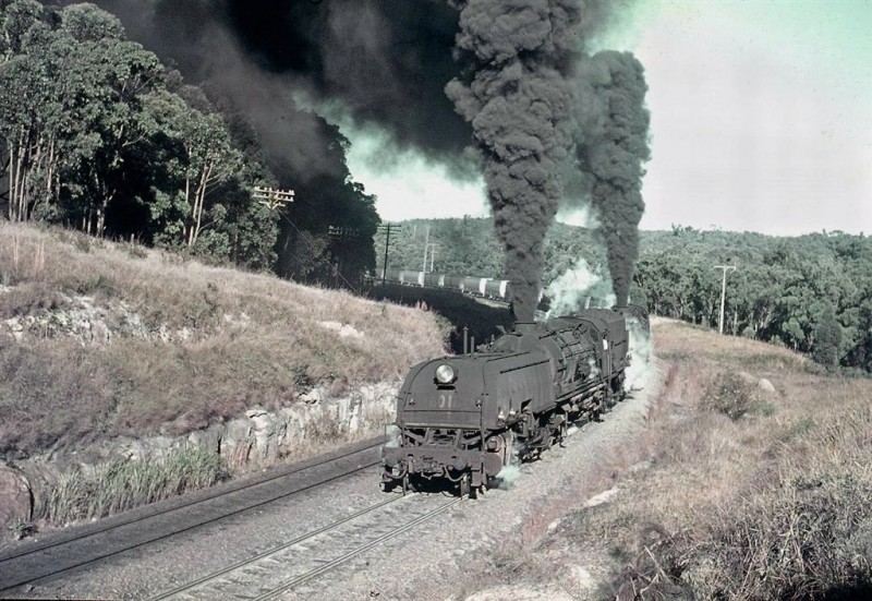 60186010 Newstan coalie 18051970_edited-1.jpg