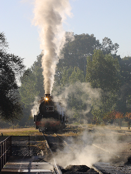 K R Wilson-Smith 31 May 2009