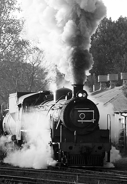 K R Wilson-Smith May 2009