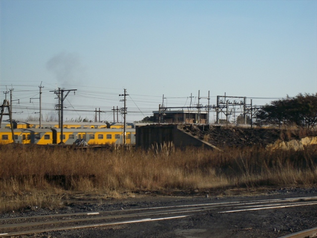 Reefsteamers 25 07 058.jpg