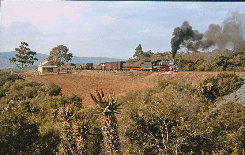 19D 2747 leaving Manley flat GRAHAMSTOWN LINE.jpg