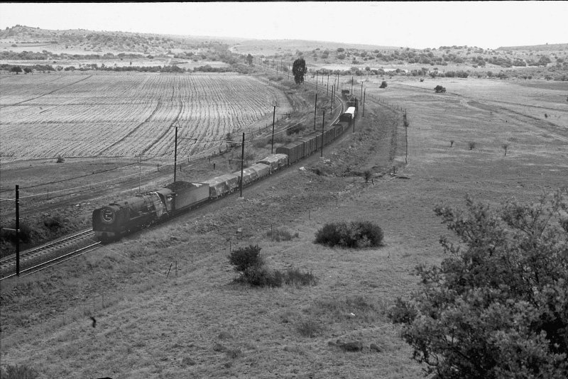 23 class  Karee koppie  8101974.jpg