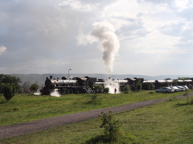 21a  1st thing cp.JPG