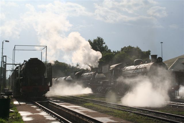 Early morning shed scene 2<br /><br />Photo by Chris Janisch 04/11/07