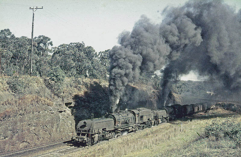 Newstan coalie 60396042 Fassifern 1072.jpg